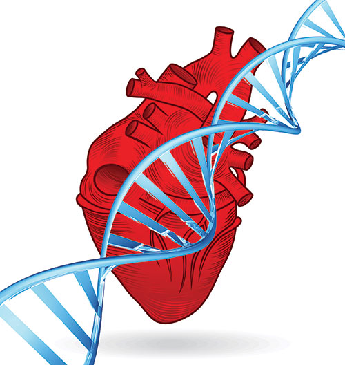 genetic heart disease diagnostics